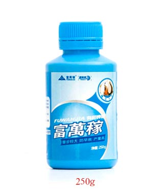 國際版棉花專用